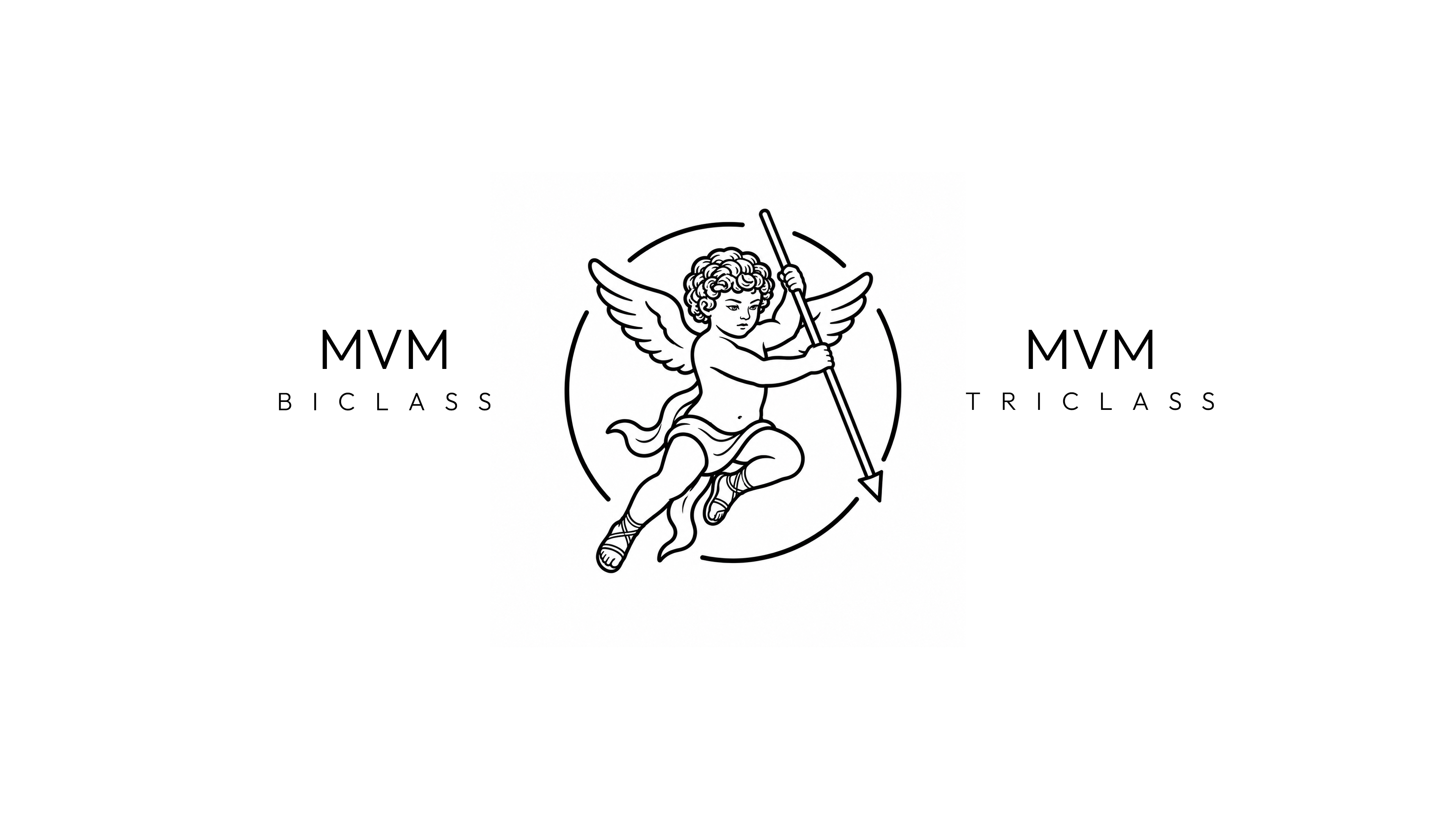 MVM — Slide 